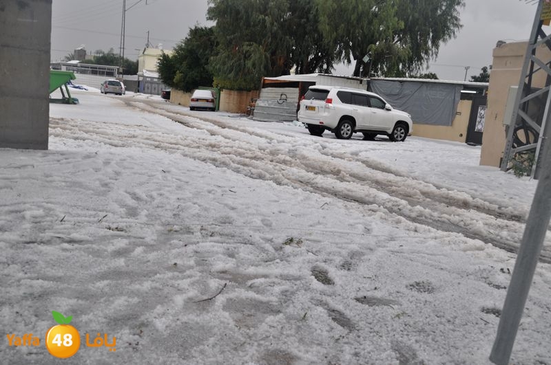 iceman lud 1213 (87).JPG